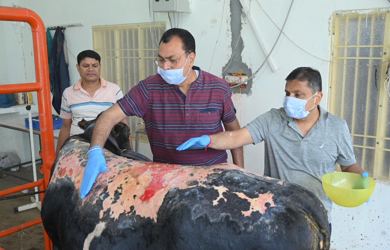 गौशाला का अस्तित्व