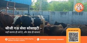 Gau Mata Ki Sewa & Protection