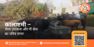 Kaalashtami Bhairav Puja Gau Seva