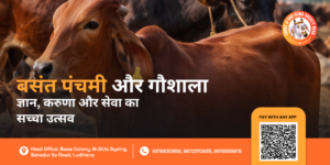 Basant Panchami aur Gaushala