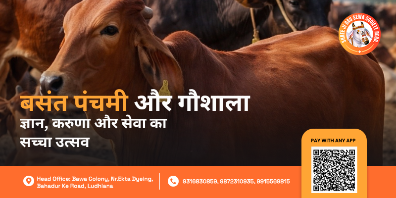 Basant Panchami aur Gaushala
