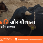 Makar Sankranti Gau Seva Daan