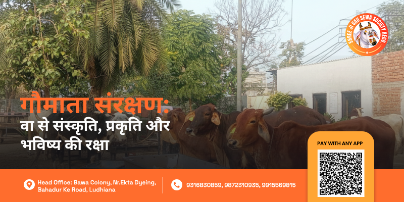 Gau Mata Sanrakshan Sewa