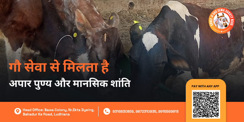 Gau Seva se mansik shanti