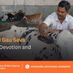 Navratri Gau Seva