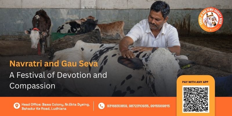 Navratri Gau Seva