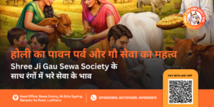 Holi Gau Seva Donation