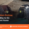Online Cow Donation