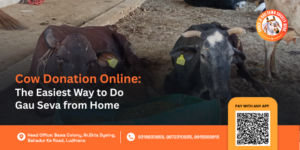 Online Cow Donation