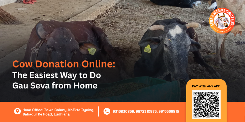 Online Cow Donation