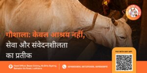 Gaushala Ka Mahatva