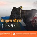 Ghyal Gauvansh Ki Seva