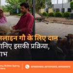 Online Donation for Cow in India
