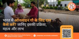 Online Donation for Cow in India