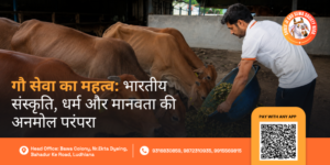 Gau Seva ka Mahatva
