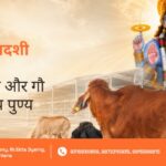 Yogini Ekadashi Gau Seva