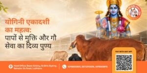 Yogini Ekadashi Gau Seva