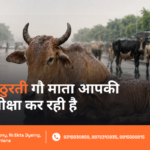 Barish Mein Gau Seva