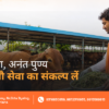 Sawan Mein Gau Seva