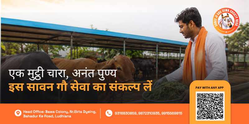 Sawan Mein Gau Seva