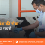 Bejubaan Gau Vansh Ki Seva