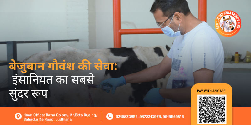 Bejubaan Gau Vansh Ki Seva
