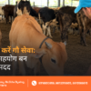 ₹101 Gau Seva