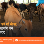 ₹101 Gau Seva