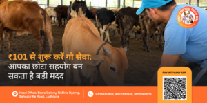 ₹101 Gau Seva