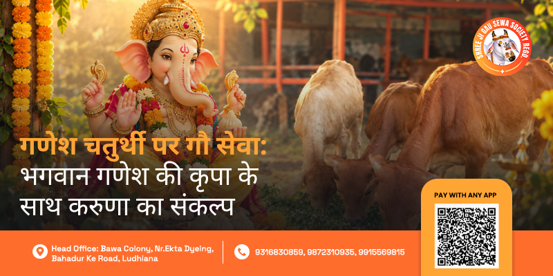 Ganesh Chaturthi Gau Seva